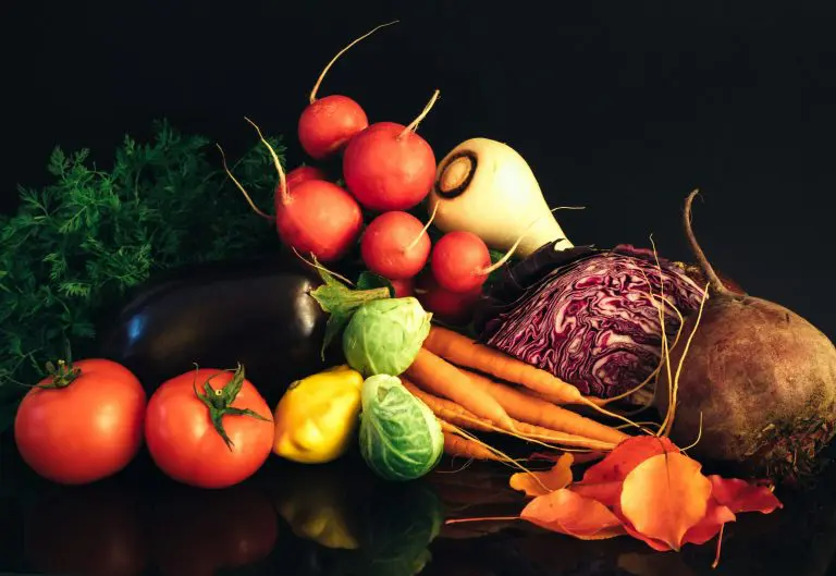 What Vegetables to Sow in June – A Guide from Maxwells