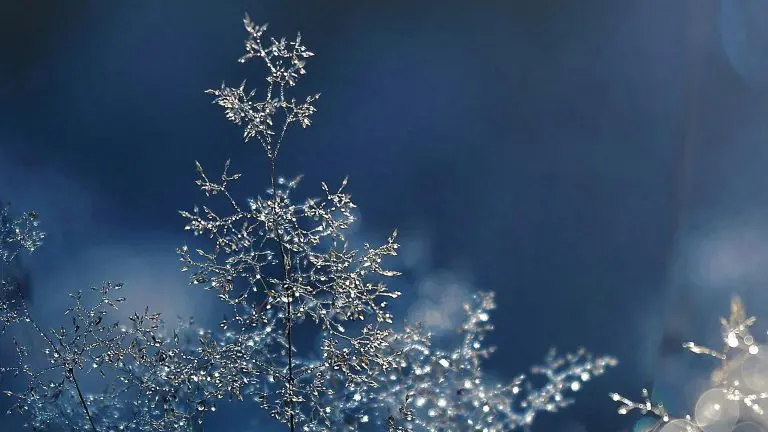 Winter Bargains 2025