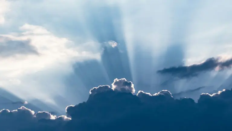 Spring Bargains 2026